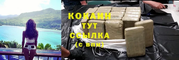 спиды Ельня