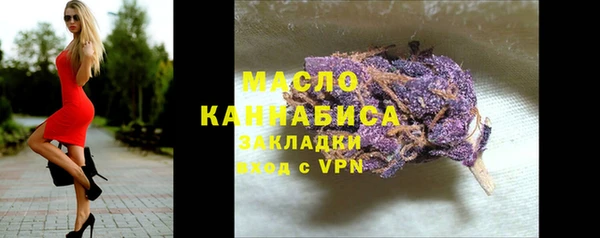 спиды Ельня