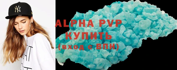 спиды Ельня