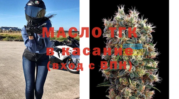 спиды Ельня