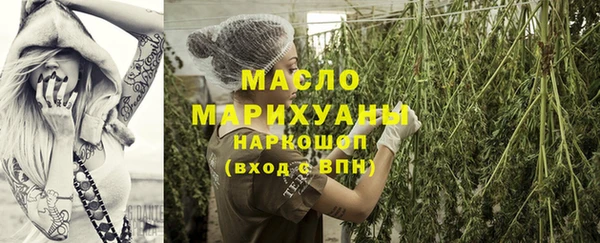 спиды Ельня