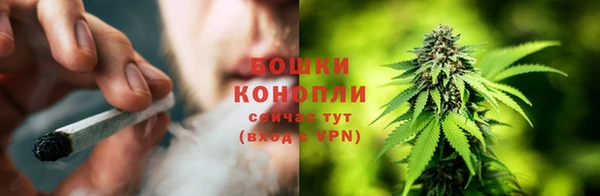 спиды Ельня