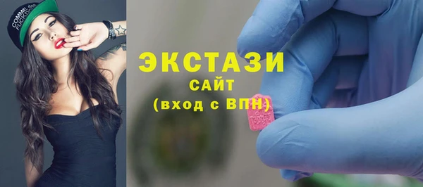 спиды Ельня