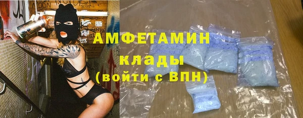 спиды Ельня