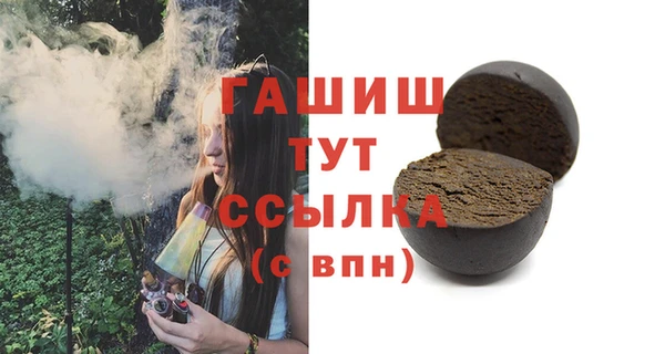 спиды Ельня