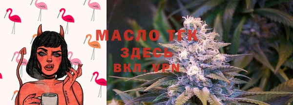спиды Ельня