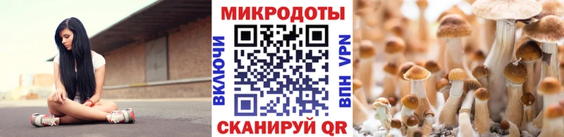 Псилоцибиновые грибы Magic Shrooms  Купить  Александровское 